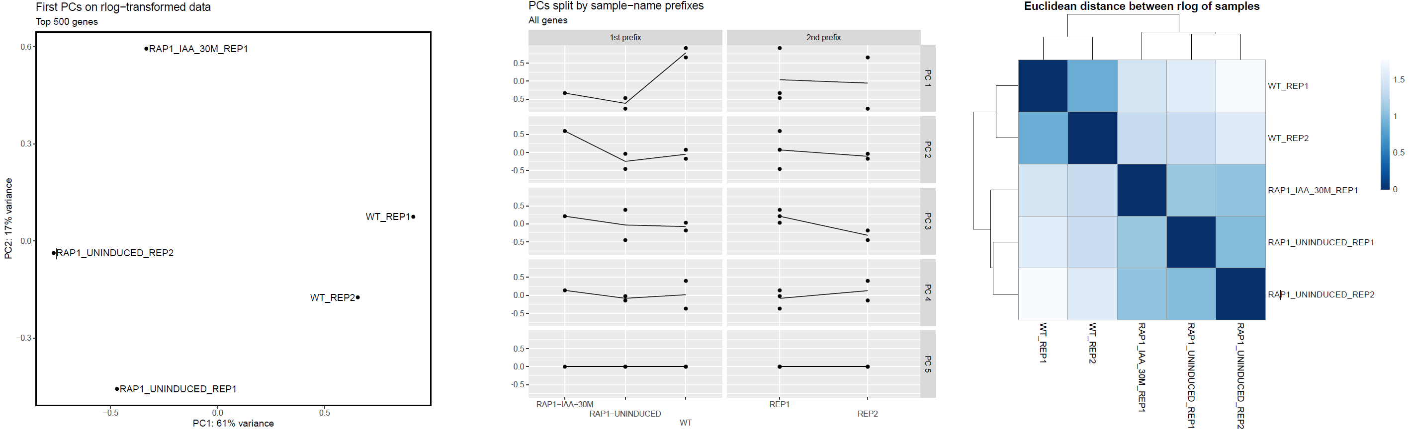 DESeq2 PCA plots