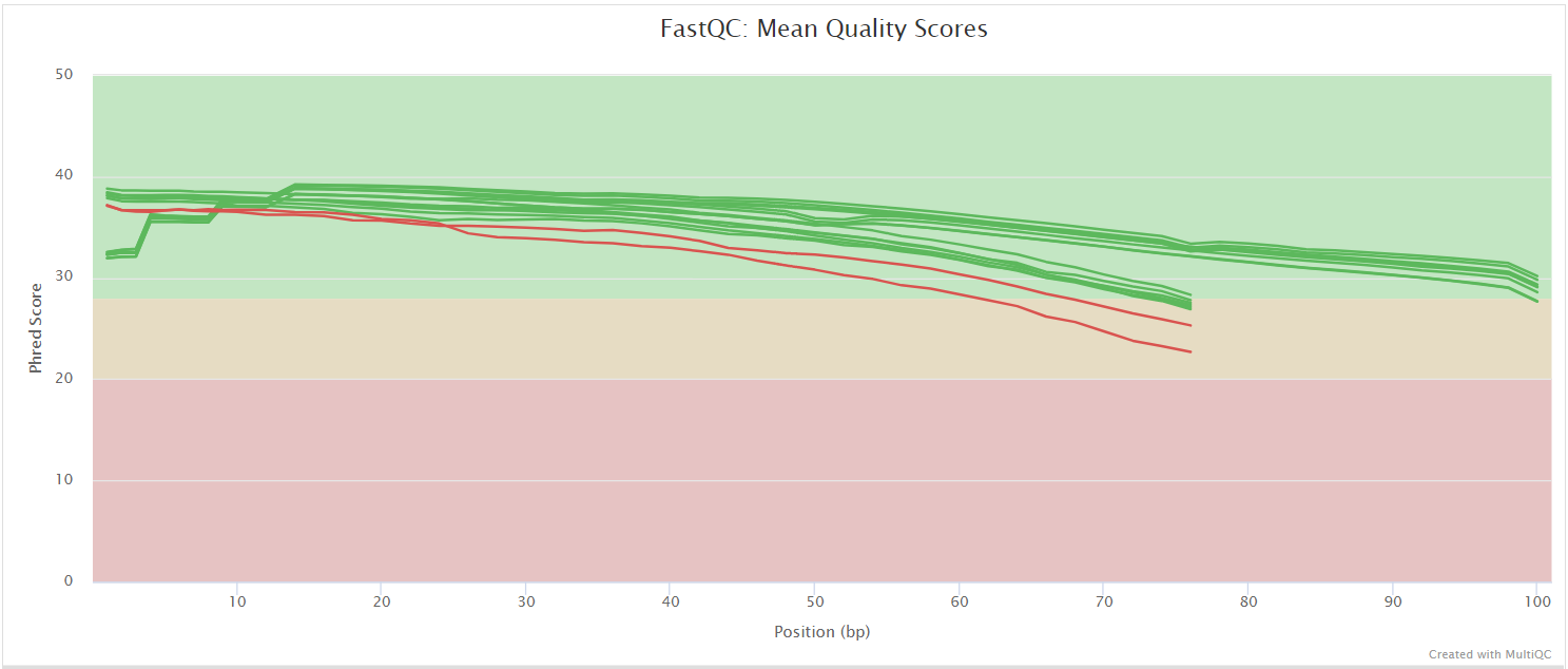 MultiQC - FastQC mean quality scores plot