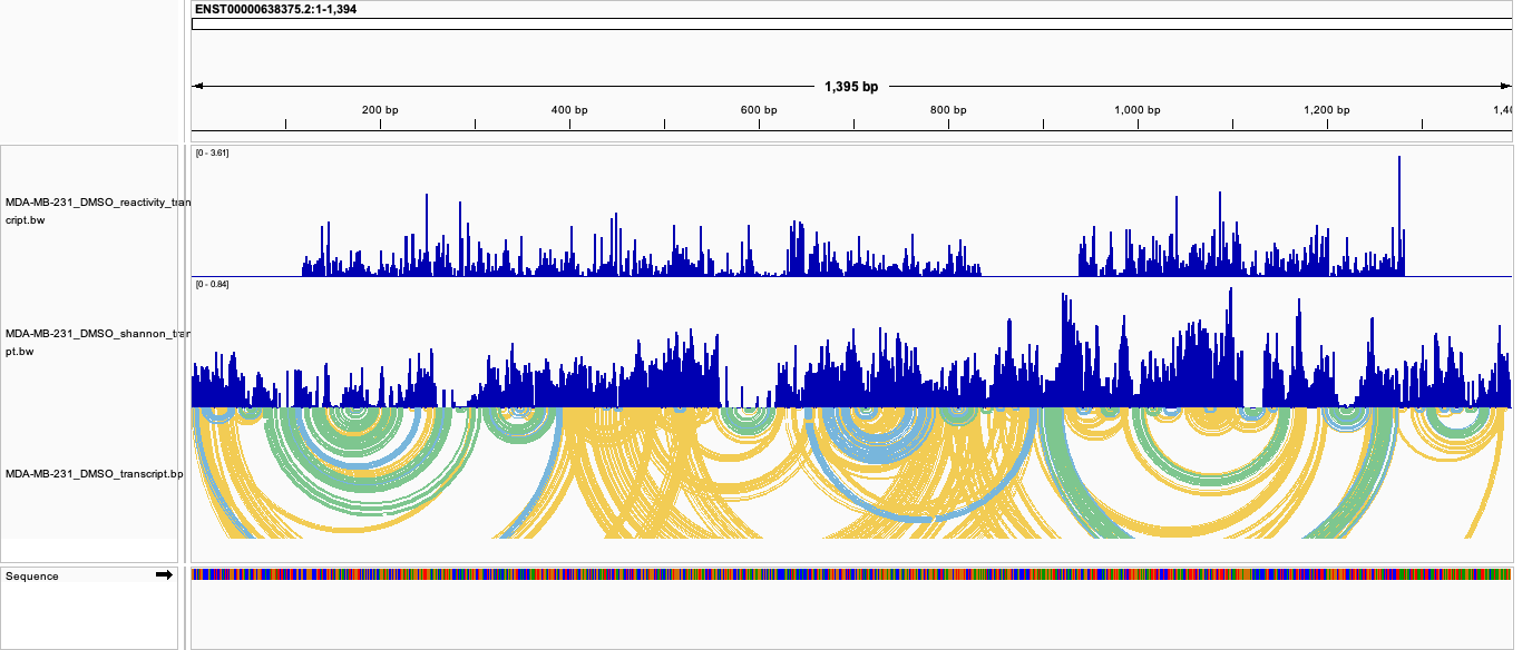 HLA-A reactivity, Shannon and base-pair tracks in transcript coordinates