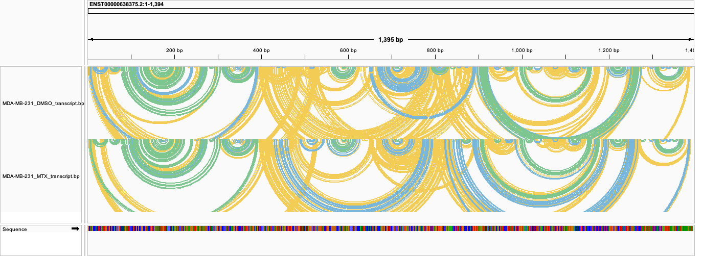 HLA-A base-pair arcs in transcript coordinates
