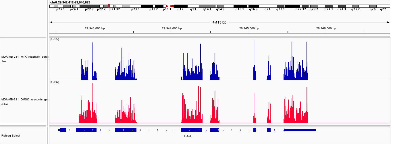 HLA-A reactivity in genomic coordinates