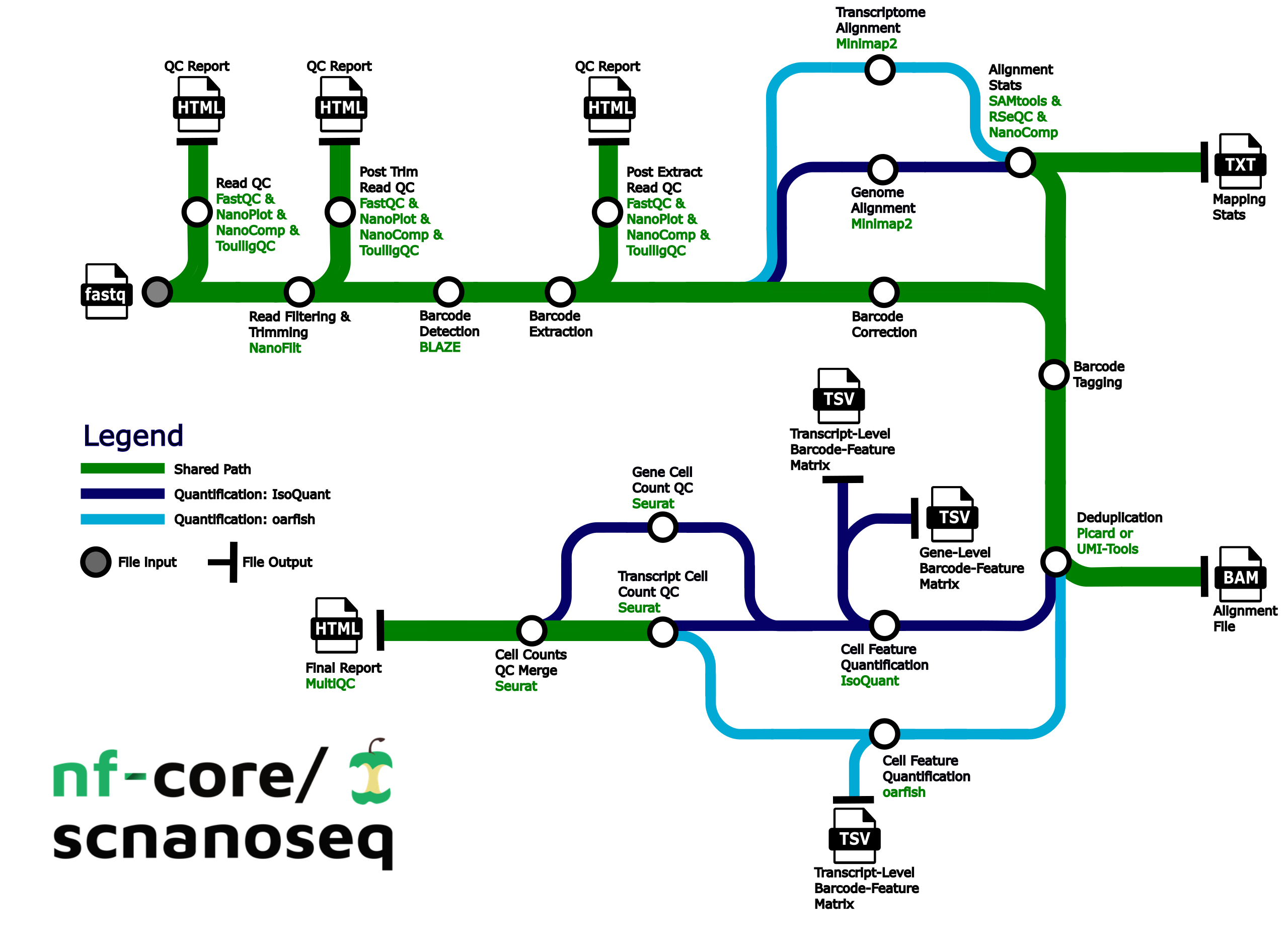 scnanoseq diagram