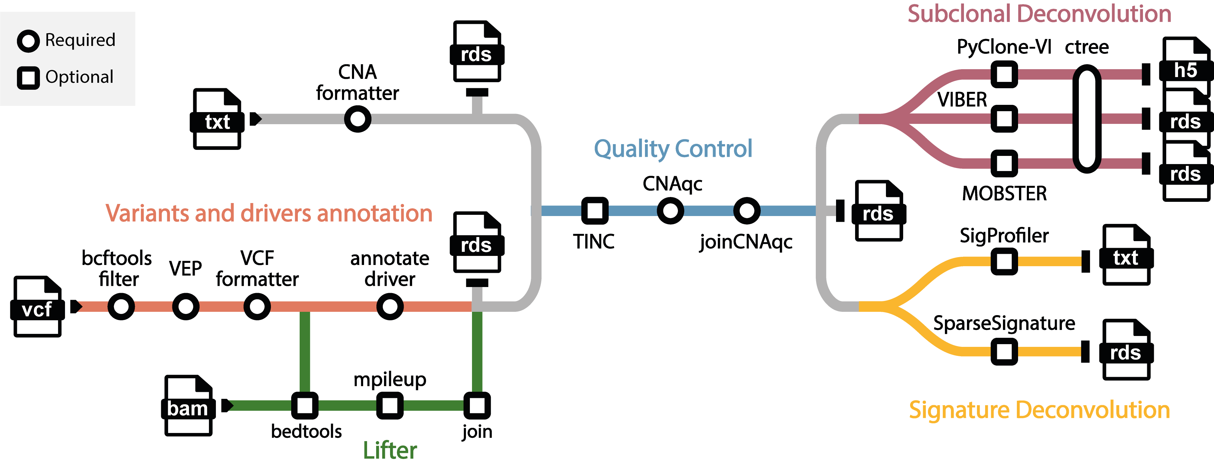 tumourevo workflow
