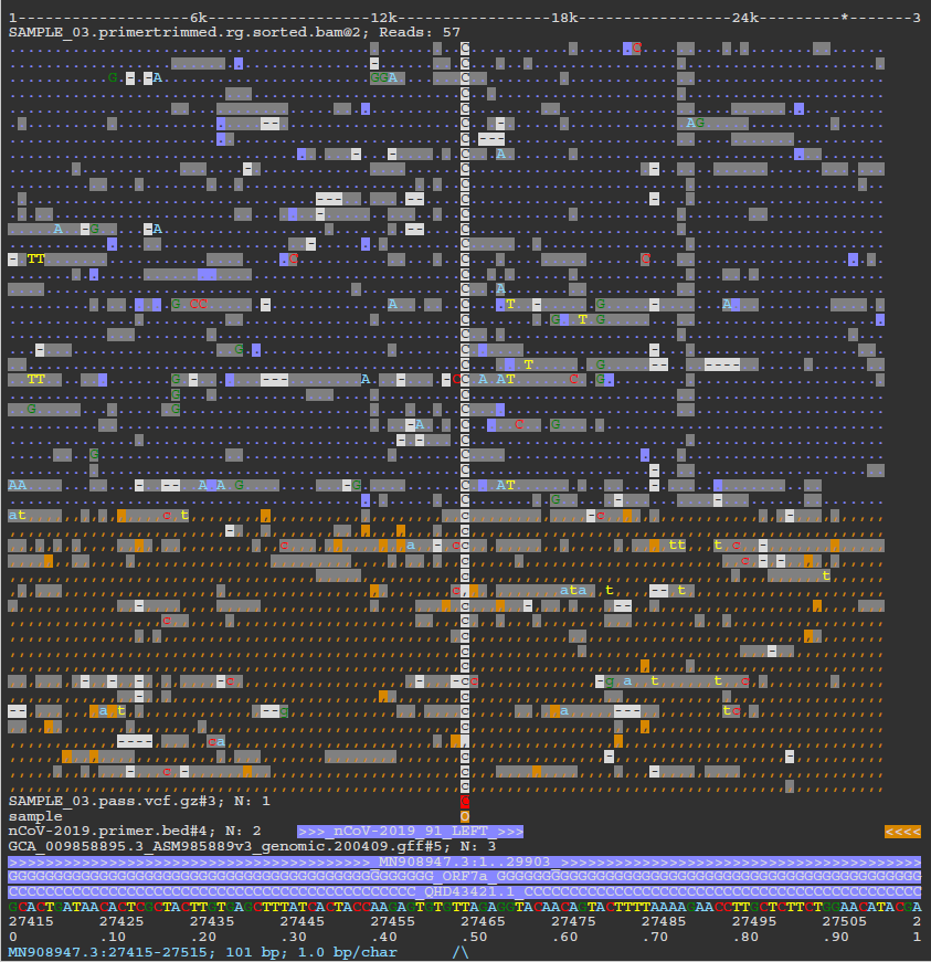 ASCIIGenome screenshot