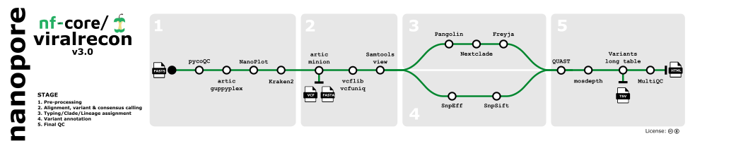 nf-core/viralrecon Nanopore metro map