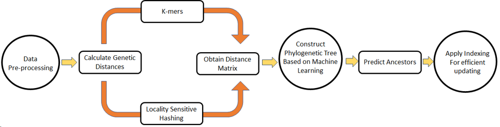 Phylogenetic-Tree-Construction-methodology
