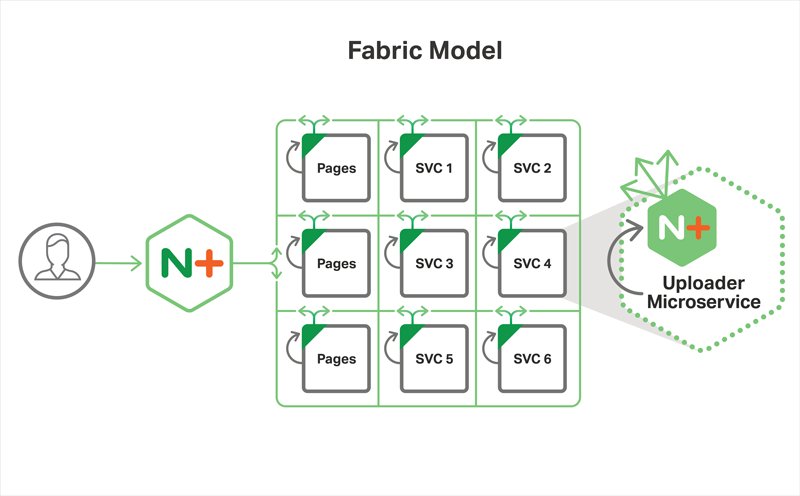 Fabric Model from Microservices Reference Architecture
