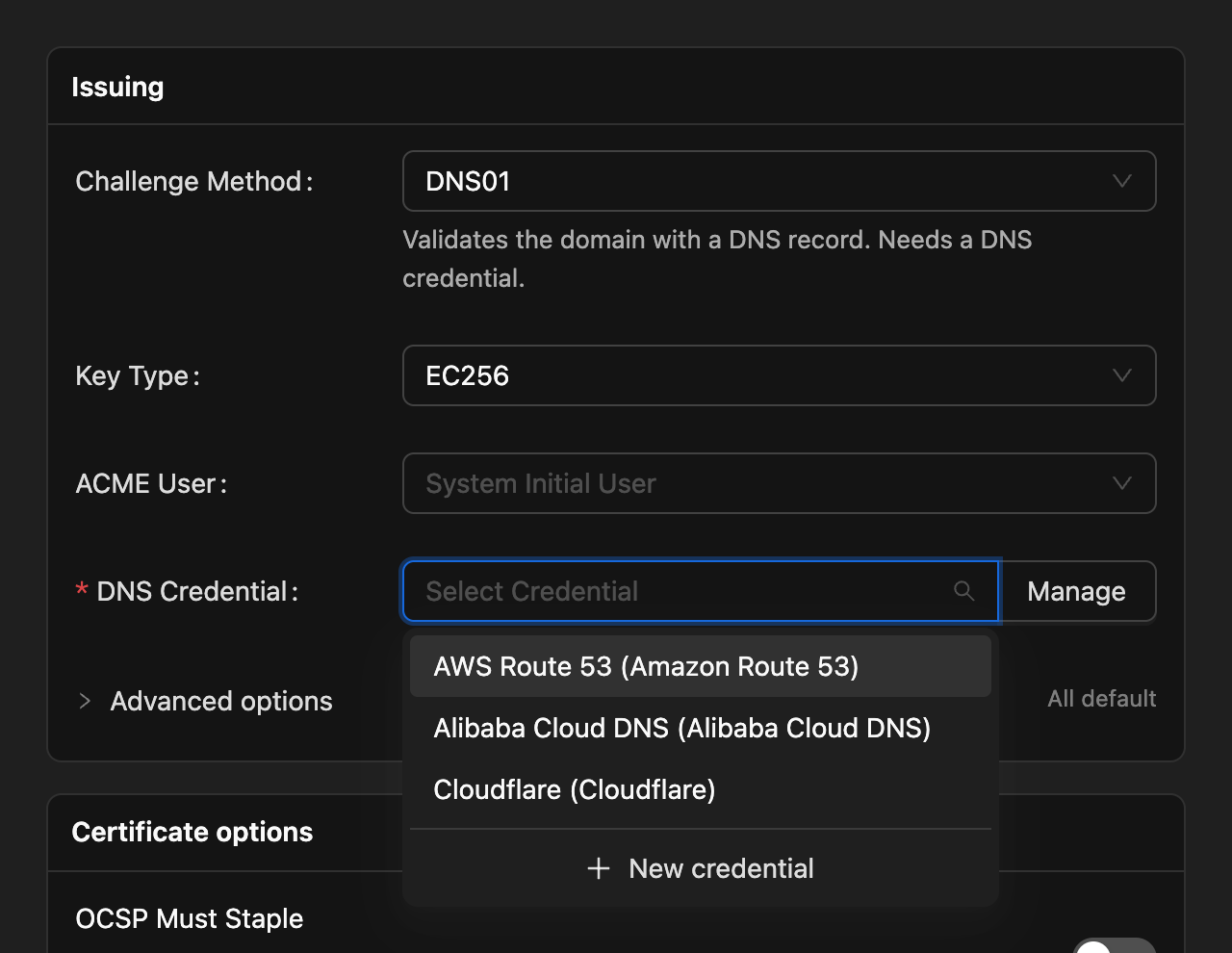 Pick a saved DNS credential when issuing a certificate