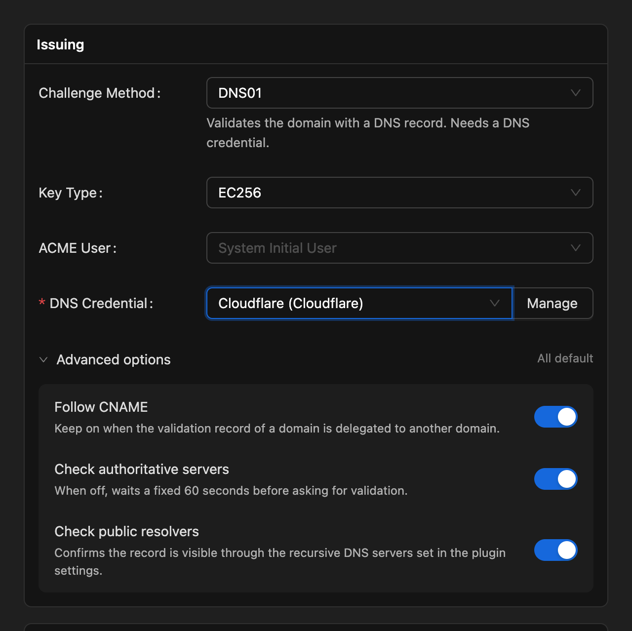 Adjust how DNS records are checked before validation