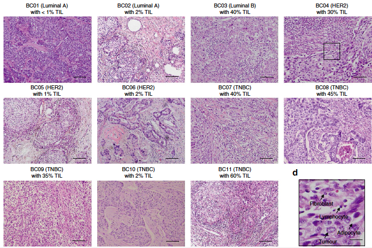 Pathology