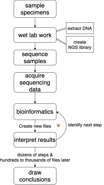 bioinformatics_workflow