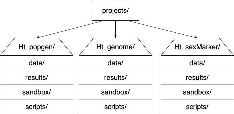 directory_structure