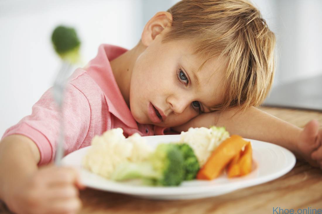 Rối loạn tiêu hóa là lý do dẫn đến biếng ăn và khiến bé bị suy dinh dưỡng