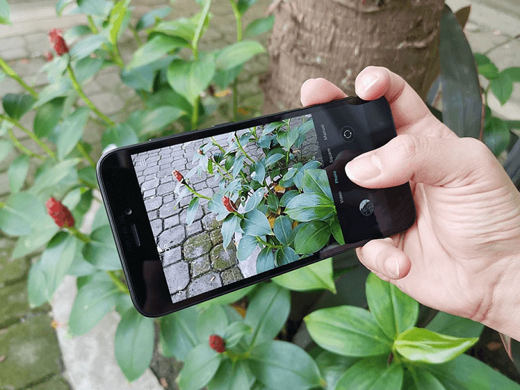 Hình ảnh thực tế của Xiaomi Redmi Go