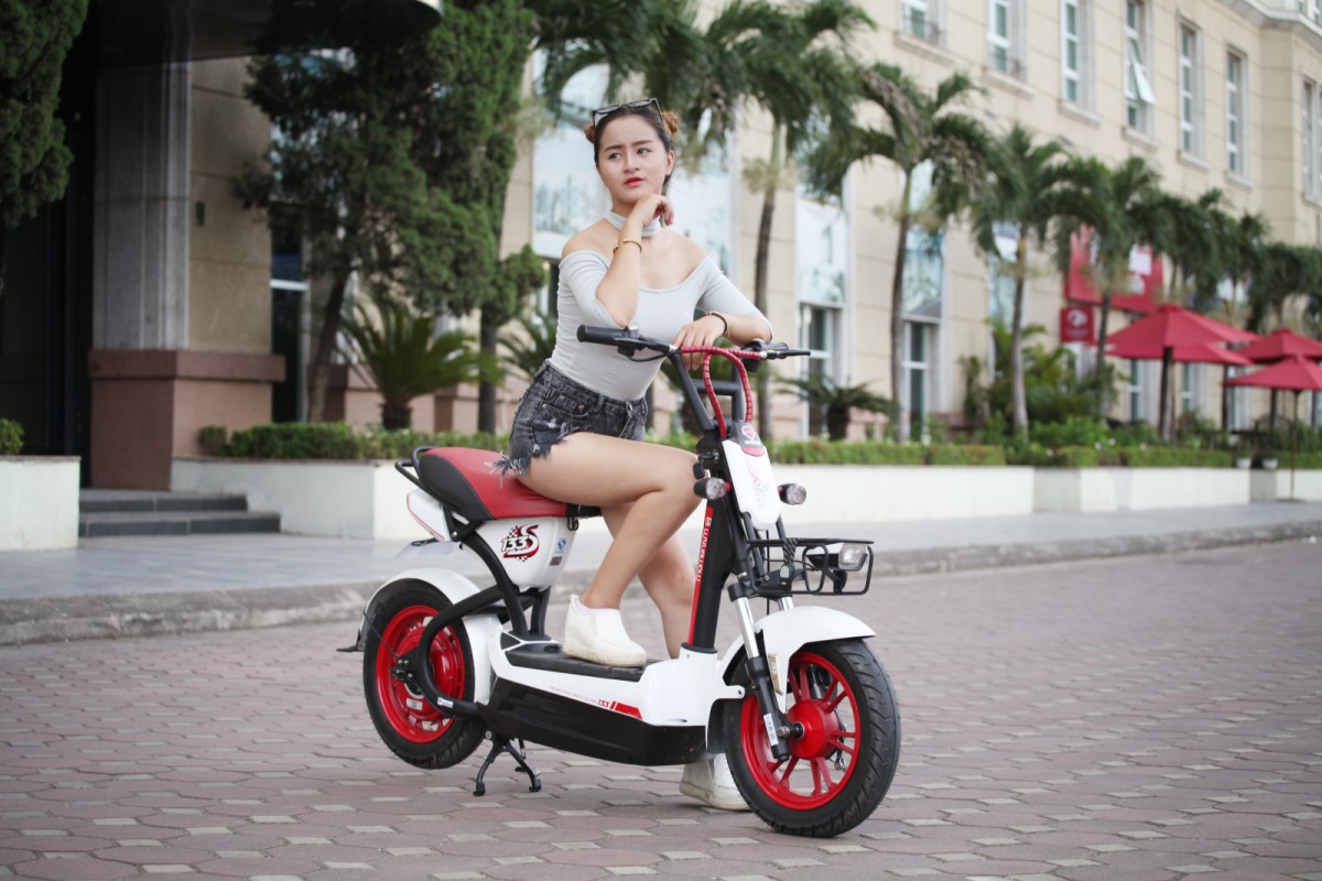 Xe đạp điện 133s sở hữu tính năng cao cấp cho tuổi thọ và độ bền cao