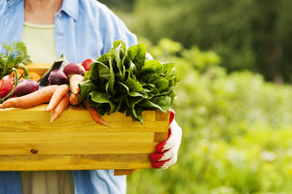 Lựa chọn địa chỉ nuôi trồng các thực phẩm hữu cơ và phân phối trực tiếp đến người tiêu dùng