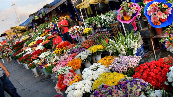 Ghé thăm chợ hoa
