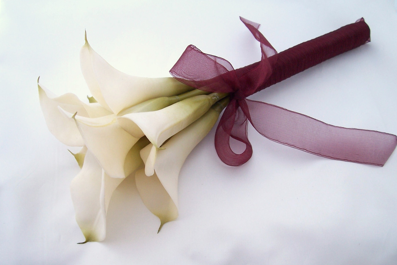 Hoa Calla với màu sắc giản đơn cũng là quà tặng hợp lý cho bạn gái ngày 8/3