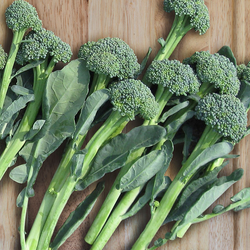 Bông cải xanh - nguồn dưỡng chất tốt cho cơ thể