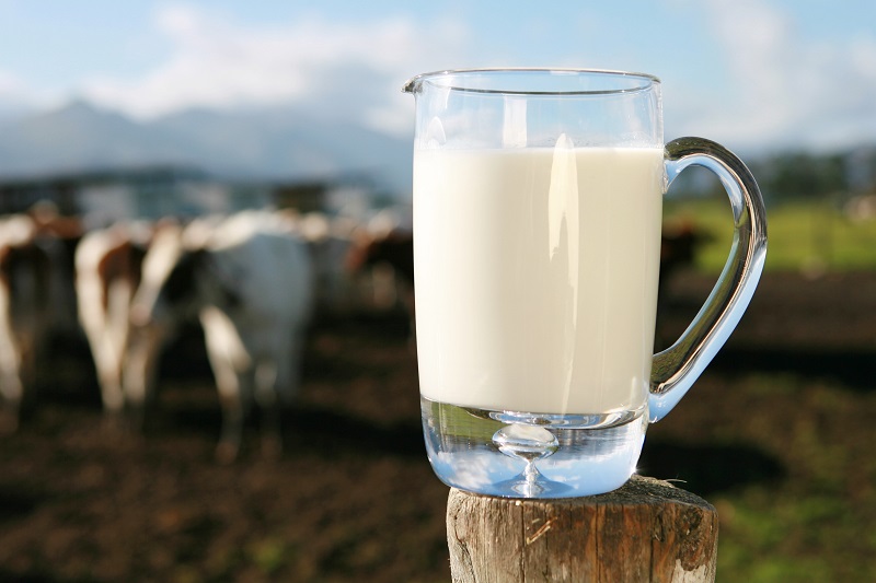 Sữa cung cấp canxi và vitamin A tốt cho sức khoẻ
