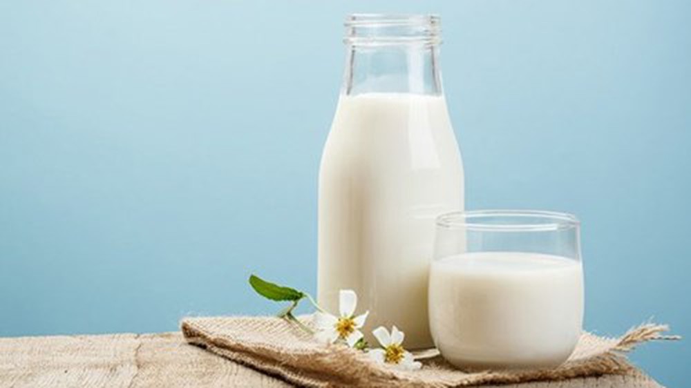 Có thể bổ sung vitamin B5 cho cơ thể bằng cách uống sữa hàng ngày