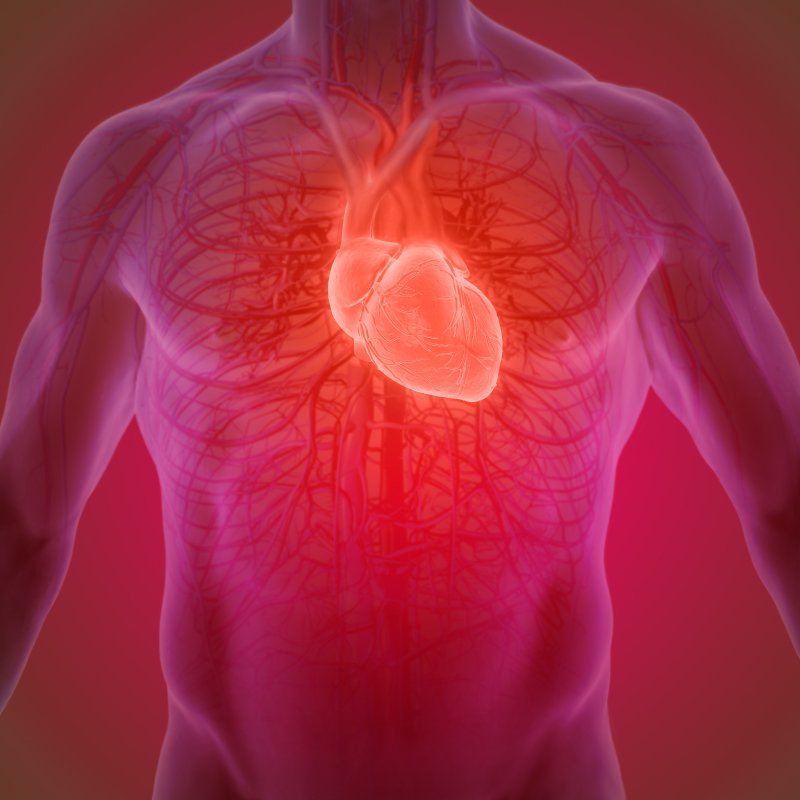 Rau má sẽ là một bài thuốc quý tự nhiên cho các bệnh nhân mắc bệnh tim mạch
