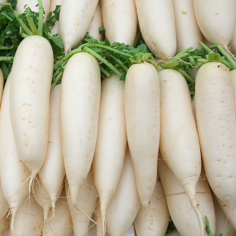 Củ cải trắng thanh mát, giàu vitamin E