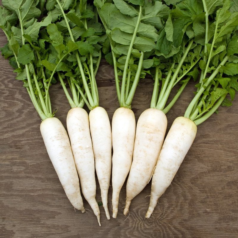 Trong củ cải trắng không chứa purin, an toàn cho người bệnh Gout 