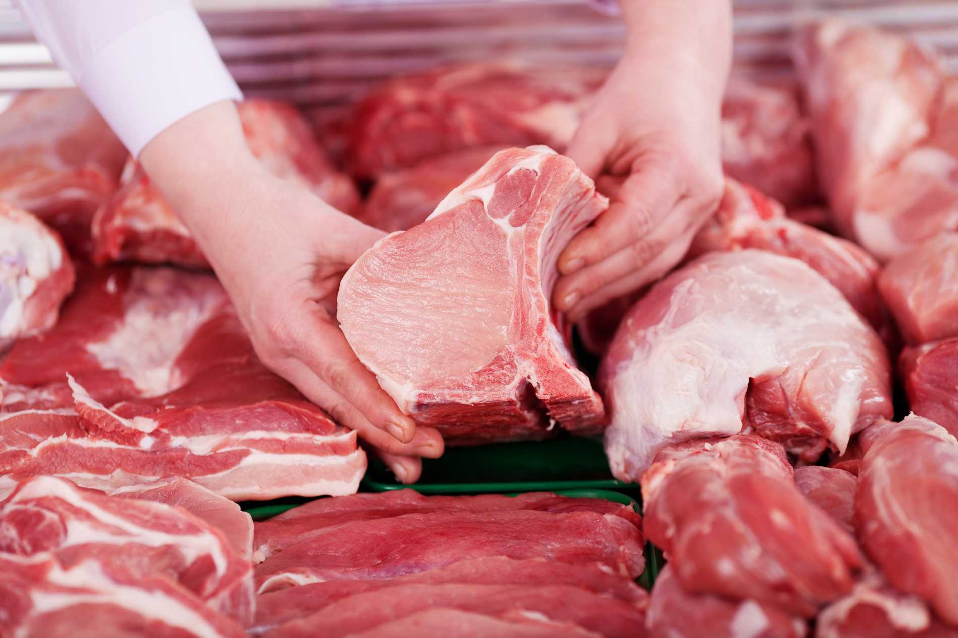 Trên thị trường, thịt nóng có tỷ lệ nhiễm khuẩn salmonella lên tới 40%, còn thịt mát được hạn chế ở mức tối đa 