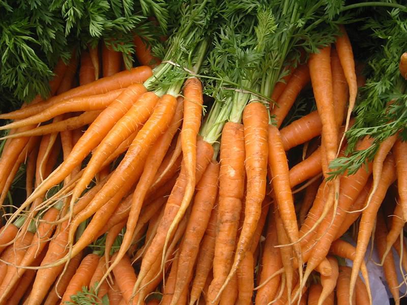 Cà rốt có chứa nhiều vitamin và khoáng chất cần thiết cho cơ thể