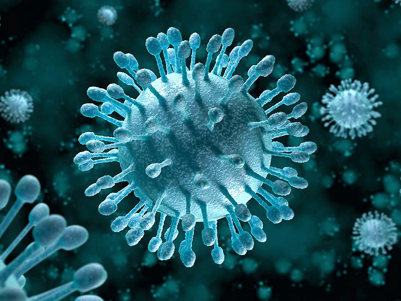 Virus gây ra bệnh Adeno có thể gây ra bệnh sốt phát ban 