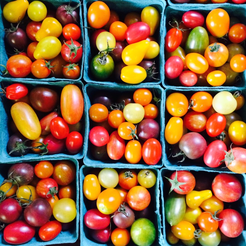 Cà chua - Thần dược cung cấp nhóm vitamin C, E, chất xơ, có tác dụng chữa bệnh hen suyễn hữu hiệu 