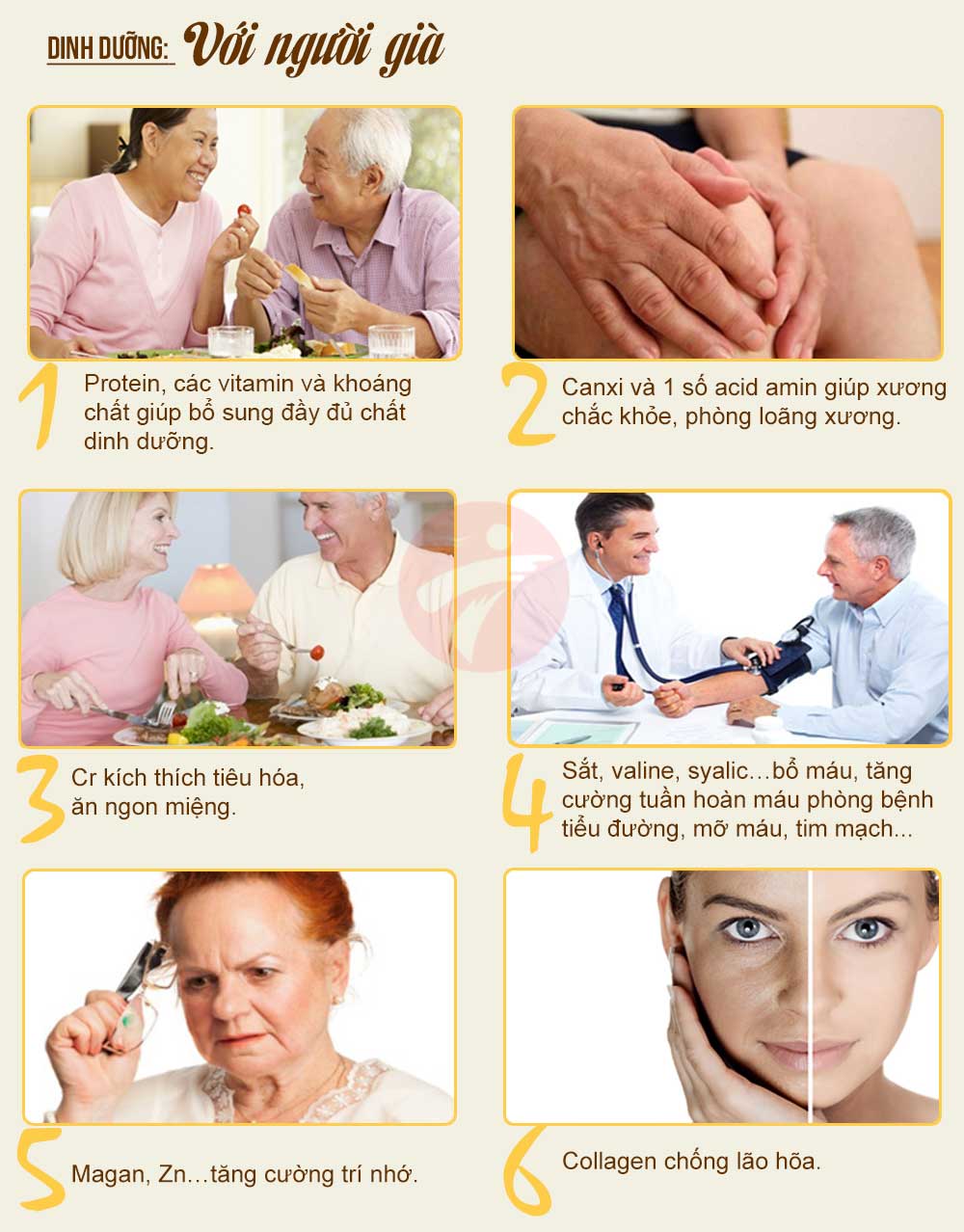 Những tác dụng của yến sào đối với sức khỏe người già