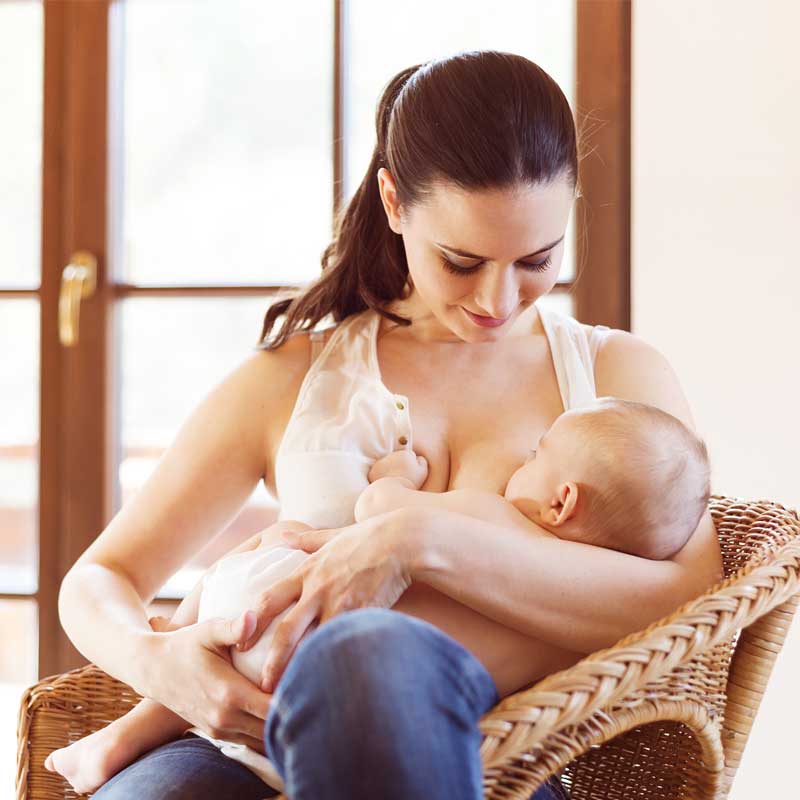 Công dụng rau tần ô giúp mẹ sau sinh tăng tiết sữa