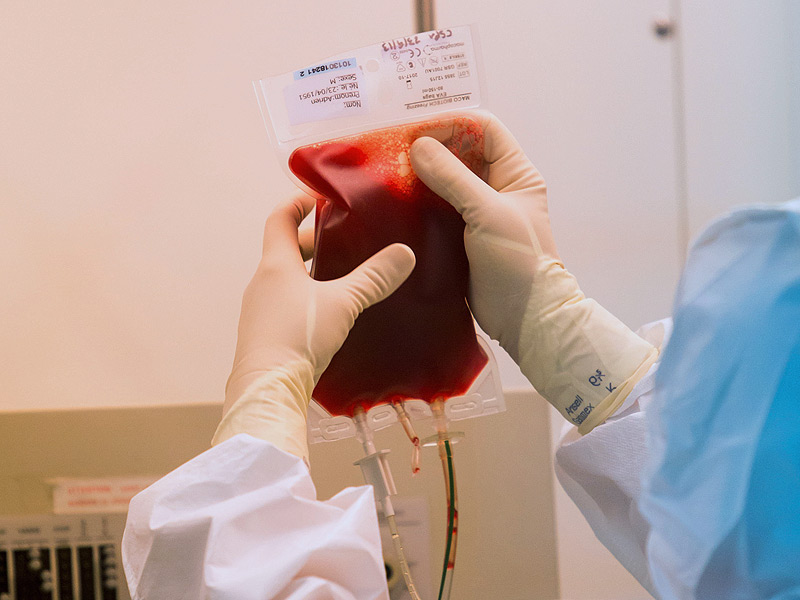 Quá trình cấy ghép tế bào gốc tạo máu (Nguồn: hellobacsi.com)