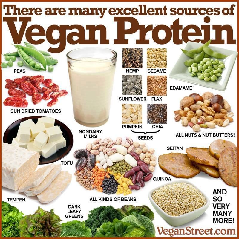 Protein giúp người bệnh tăng sức đề kháng và tốt cho hệ miễn dịch 