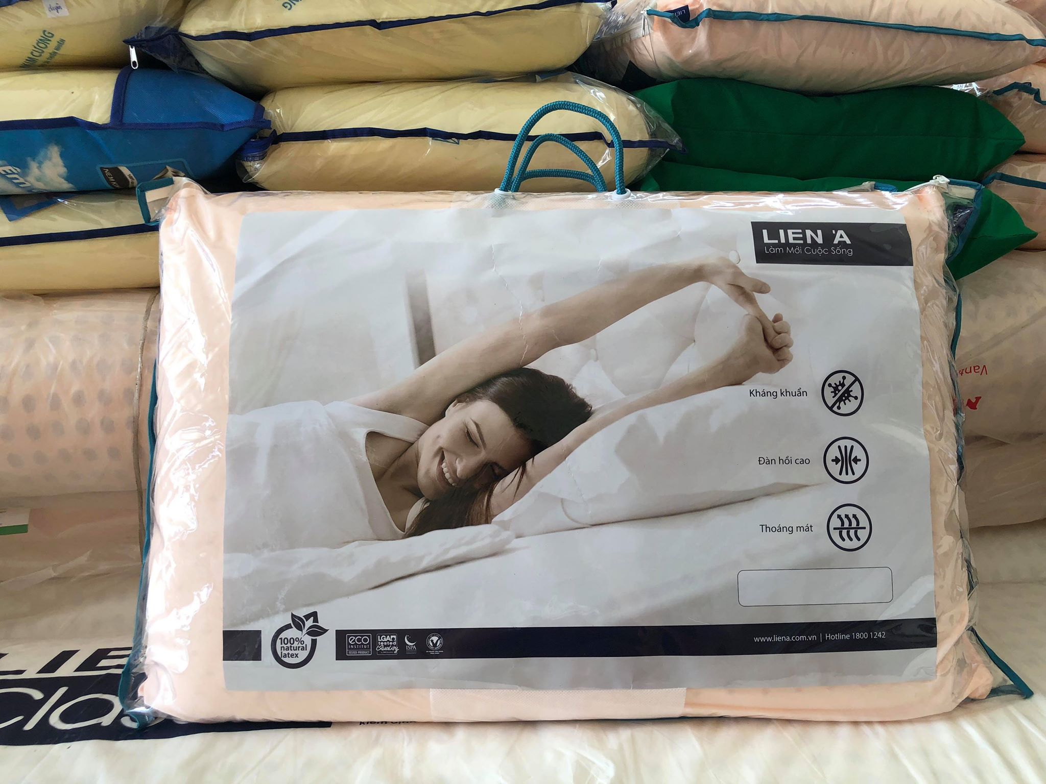 Liên Á - thương hiệu chăm sóc giấc ngủ gia đình hàng đầu Việt Nam 