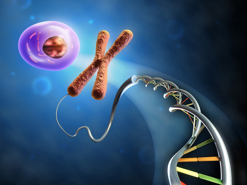 Việc giải trình tự DNA giúp tìm và phân tích gen lạ, đưa ra các biện pháp sức khỏe kịp thời 