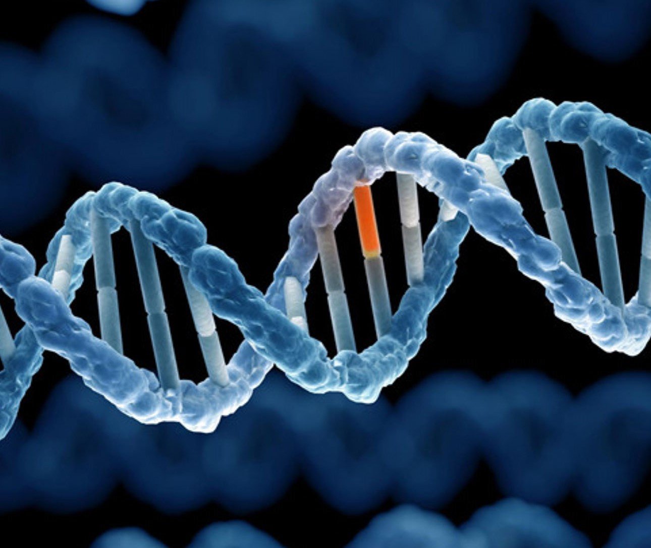 Phương pháp enzym là phương pháp được lựa chọn nhiều khi giải trình tự mẫu DNA