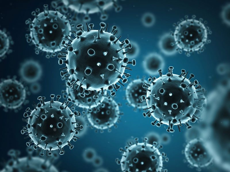 Trong ứng dụng của giải trình tự gen giúp tìm kiếm các tác nhân gây bệnh về virus, vi khuẩn