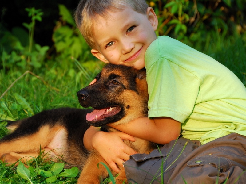 Một số trẻ tự kỷ có khả năng rèn luyện kỹ năng xã hội tốt hơn với đúng loại vật nuôi 