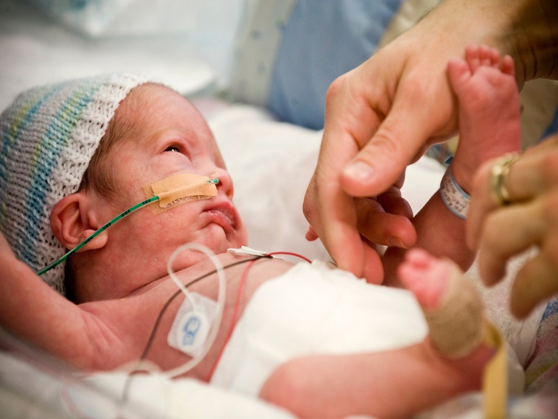Cơ chế bệnh loạn sản phế quản phổi ở trẻ sinh non