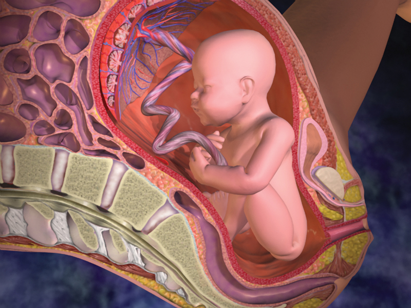 Ngôi thai bị ngược là gì?