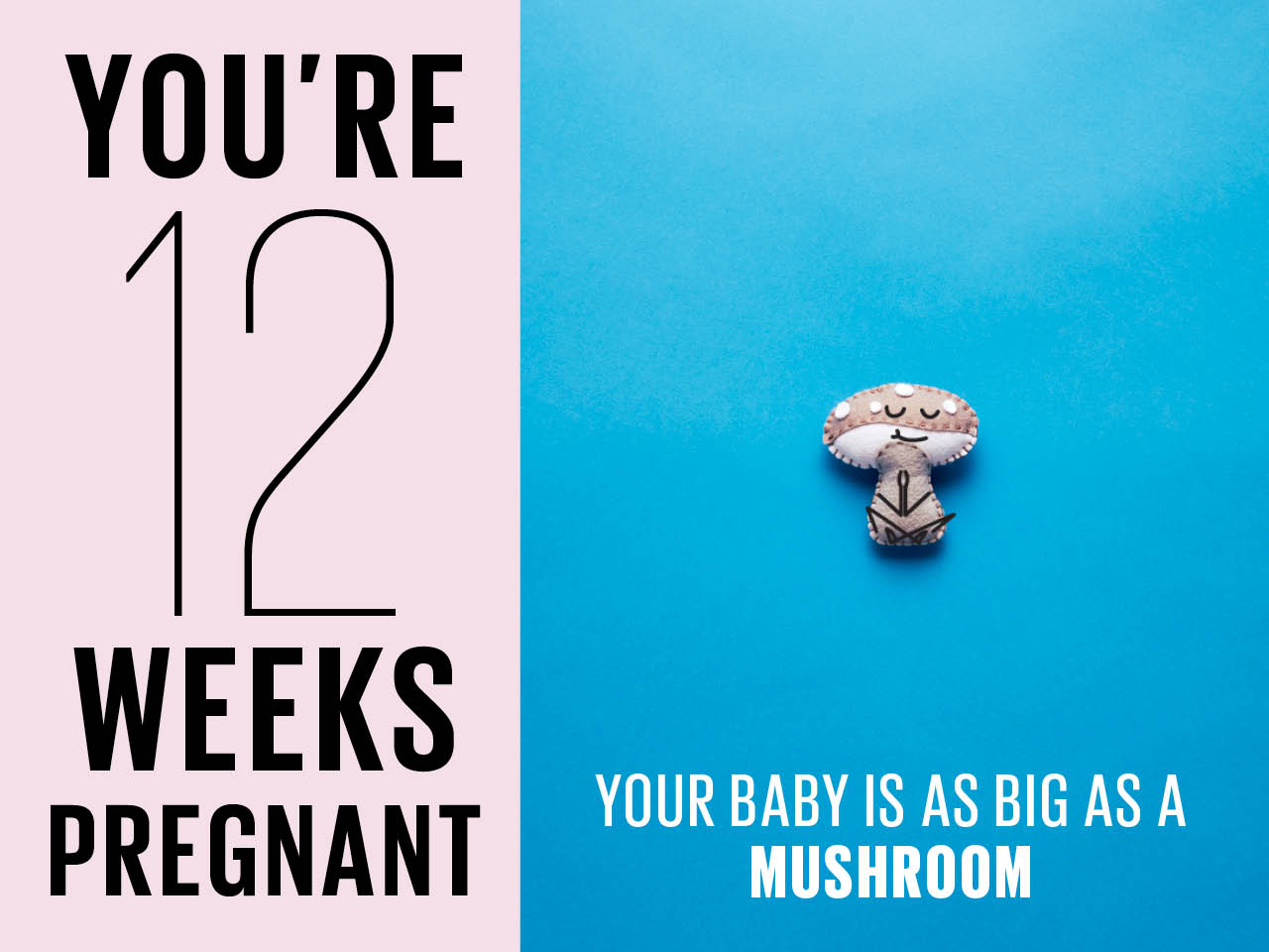 Kích thước thai nhi 12 tuần tuổi to như 1 cây nấm