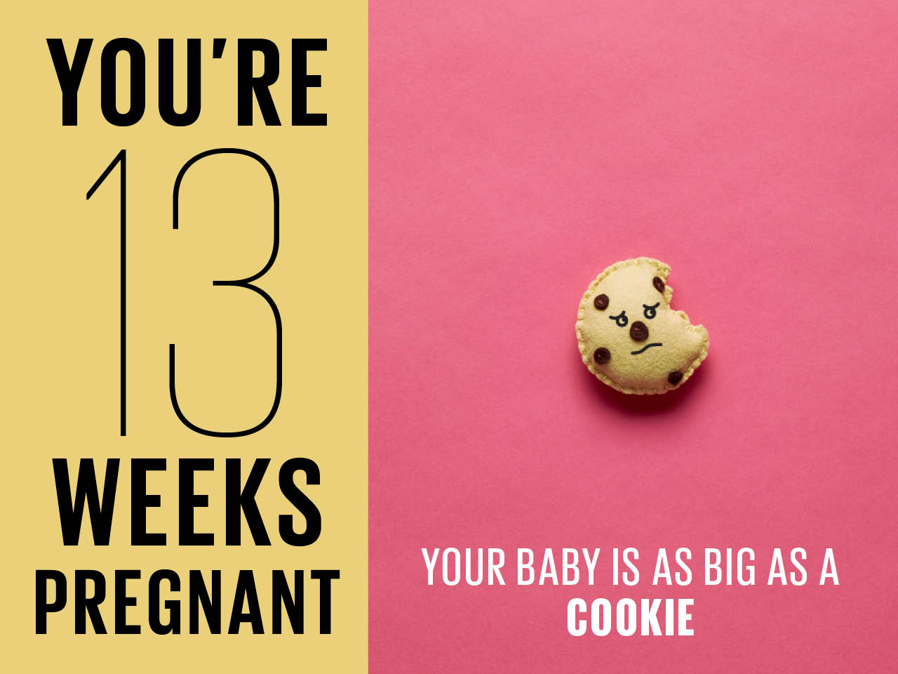 Kích thước thai nhi 13 tuần tuổi to như 1 chiếc bánh quy