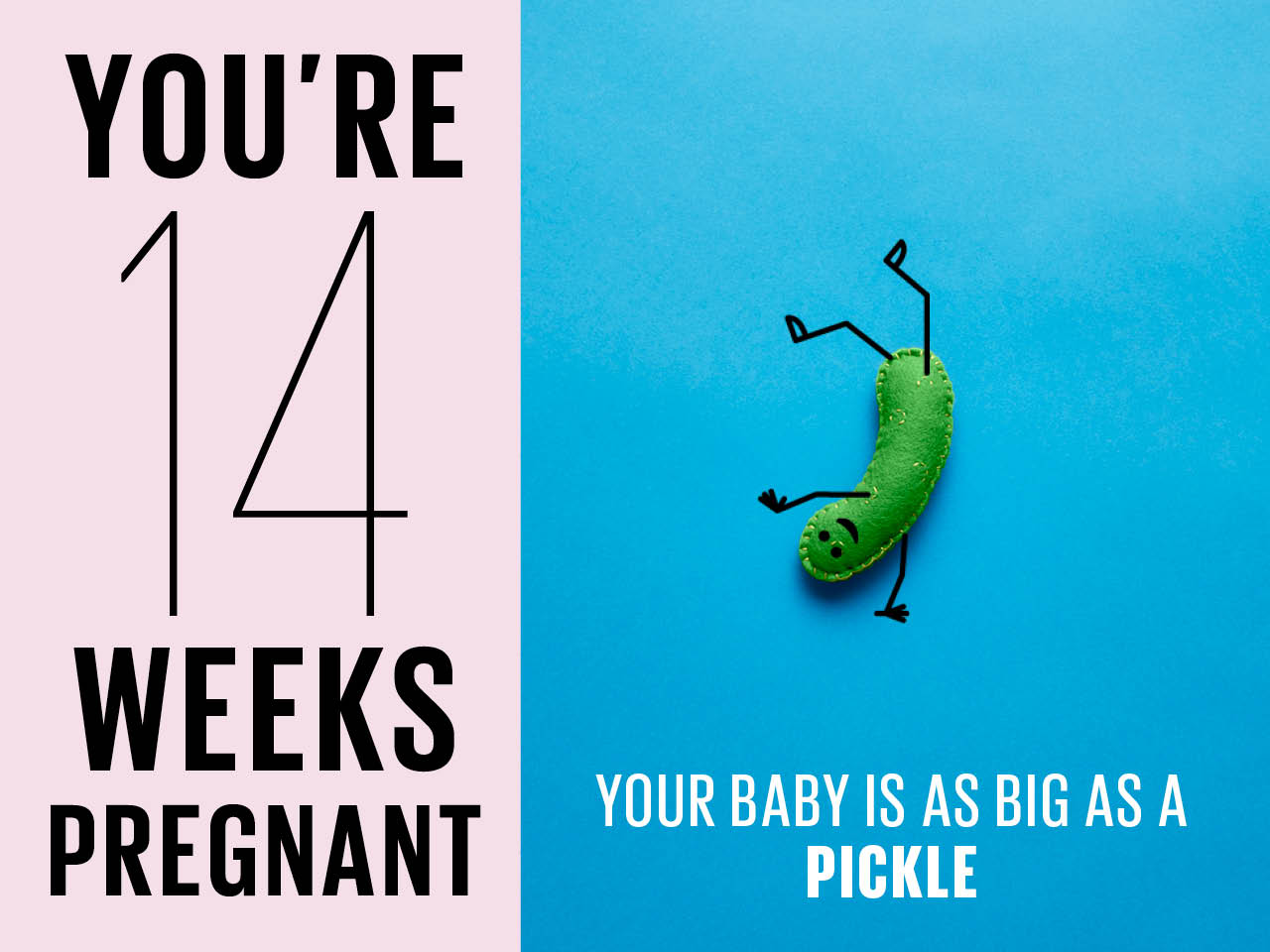 Kích thước thai nhi 14 tuần tuổi to như 1 trái dưa chua