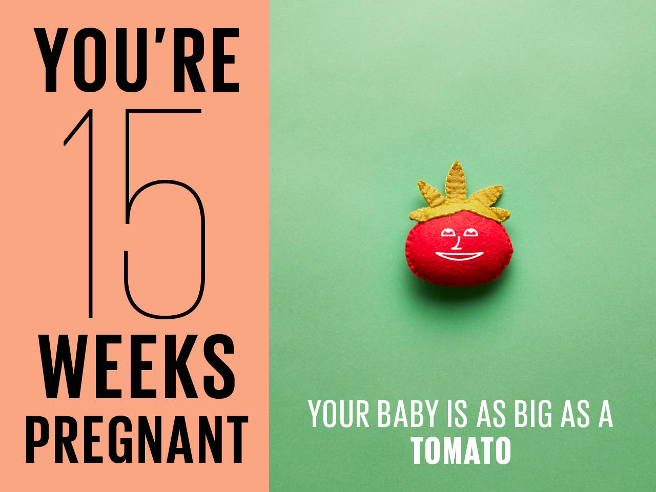 Kích thước thai nhi tuần 15 to như 1 trái cà chua