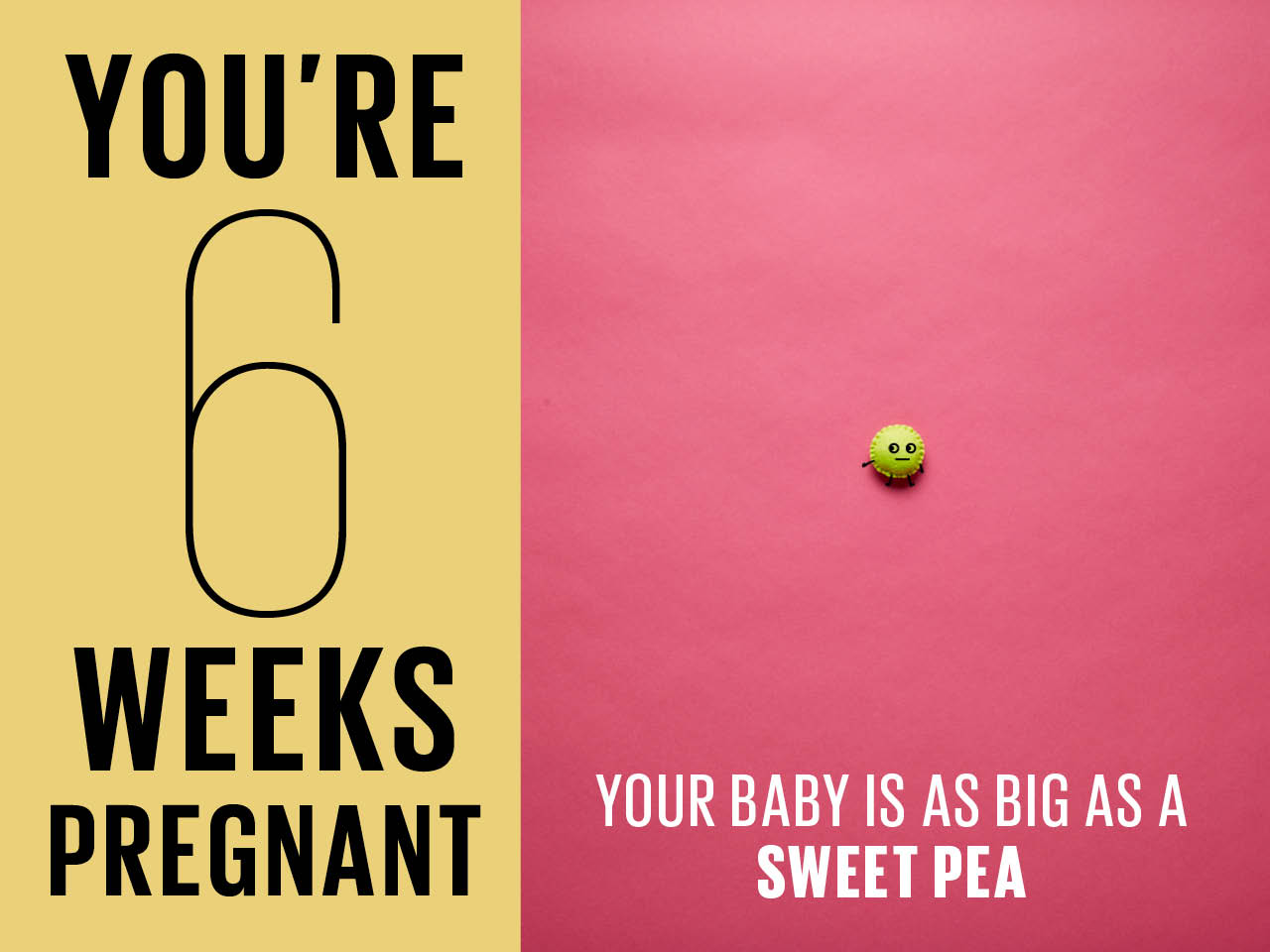 Kích thước thai 6 tuần chỉ bé bằng 1 hạt đậu