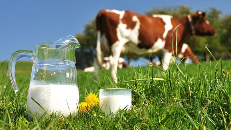 Sữa được tiệt trùng trở thành thức uống mỗi ngày của đa số người dùng hiện nay 
