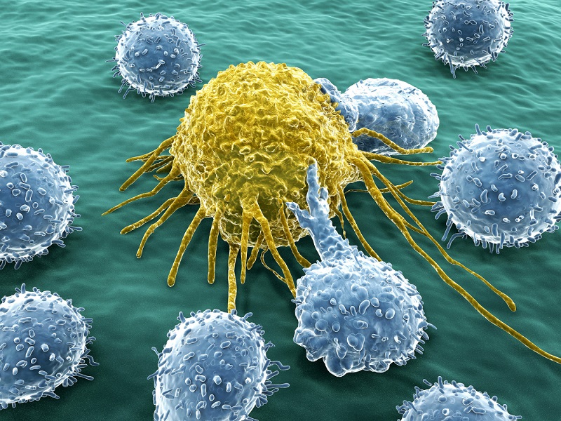 Ứng dụng tầm soát ung thư với phương pháp tế bào học 